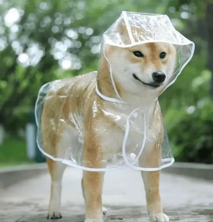 1pc Transparent Hooded Pet Raincoat – Waterproof Plastic Poncho for Small Dogs & Puppies – Outdoor Clothes & Accessories for Rainy Days