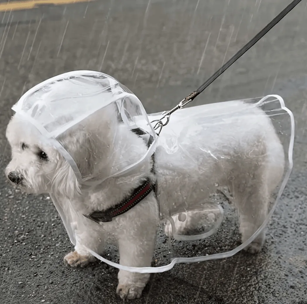 1pc Transparent Hooded Pet Raincoat – Waterproof Plastic Poncho for Small Dogs & Puppies – Outdoor Clothes & Accessories for Rainy Days