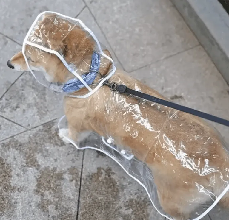 1pc Transparent Hooded Pet Raincoat – Waterproof Plastic Poncho for Small Dogs & Puppies – Outdoor Clothes & Accessories for Rainy Days