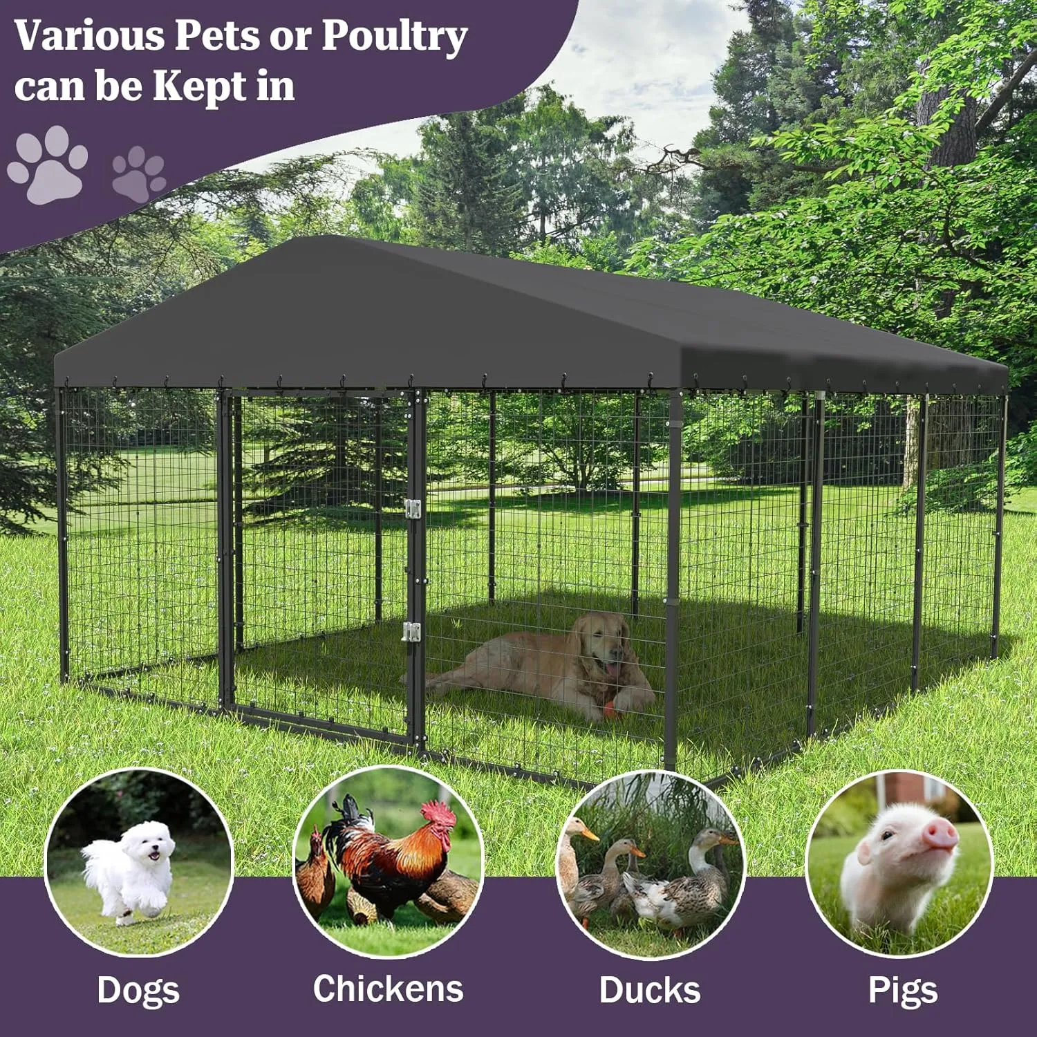 ALAULM 10'x10' Large Outdoor Dog Kennel with Waterproof Roof Cover, Heavy Duty Dog Enclosures w/Upgraded Metal Grid and Door Locks for Large Dogs