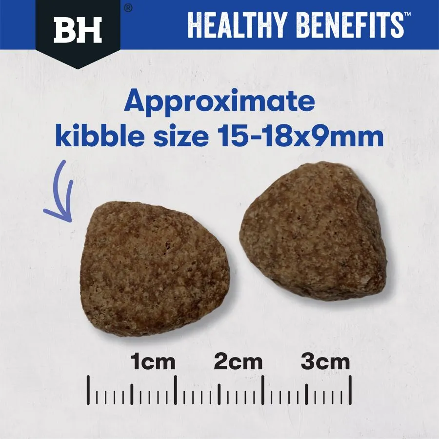Black Hawk Dog Healthy Benefits Dental
