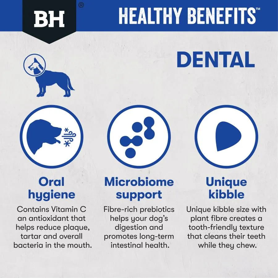 Black Hawk Dog Healthy Benefits Dental