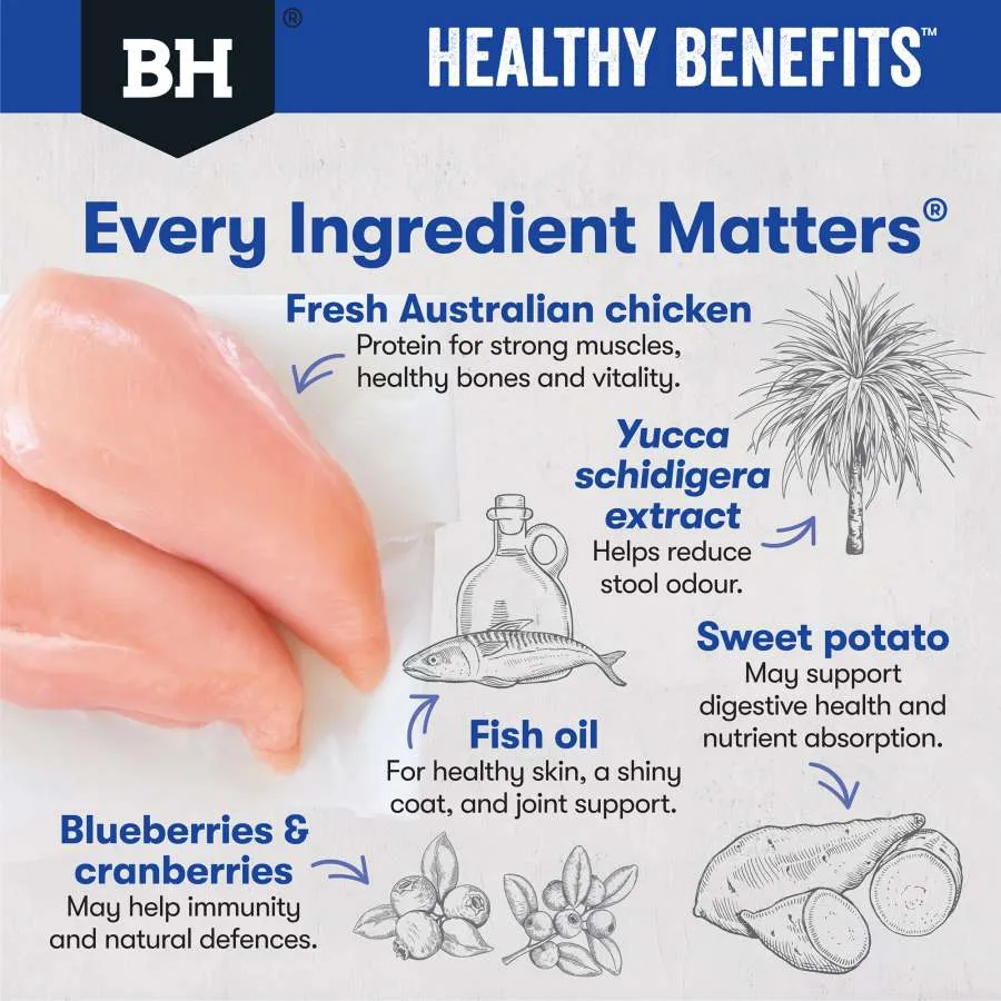 Black Hawk Dog Healthy Benefits Dental