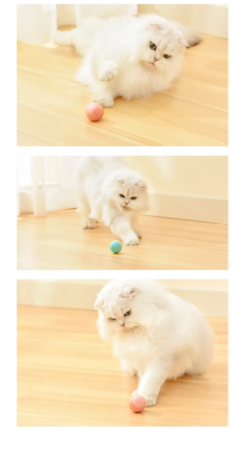 Cat Gravity Ball Tease Toy
