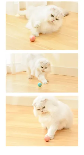 Cat Gravity Ball Tease Toy
