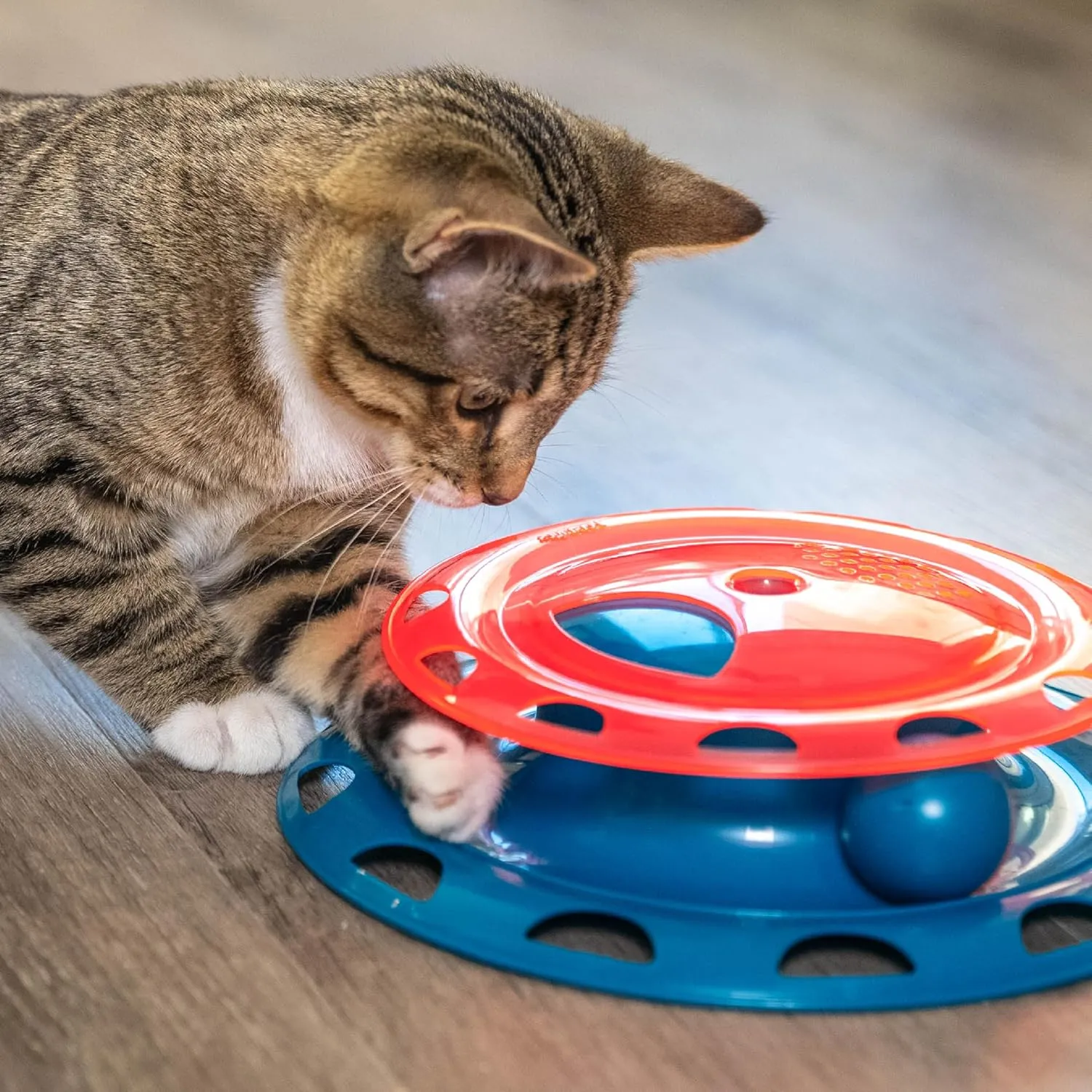 Catstages Catnip Chase Interactive Ball Track Cat Toy, Red and Blue