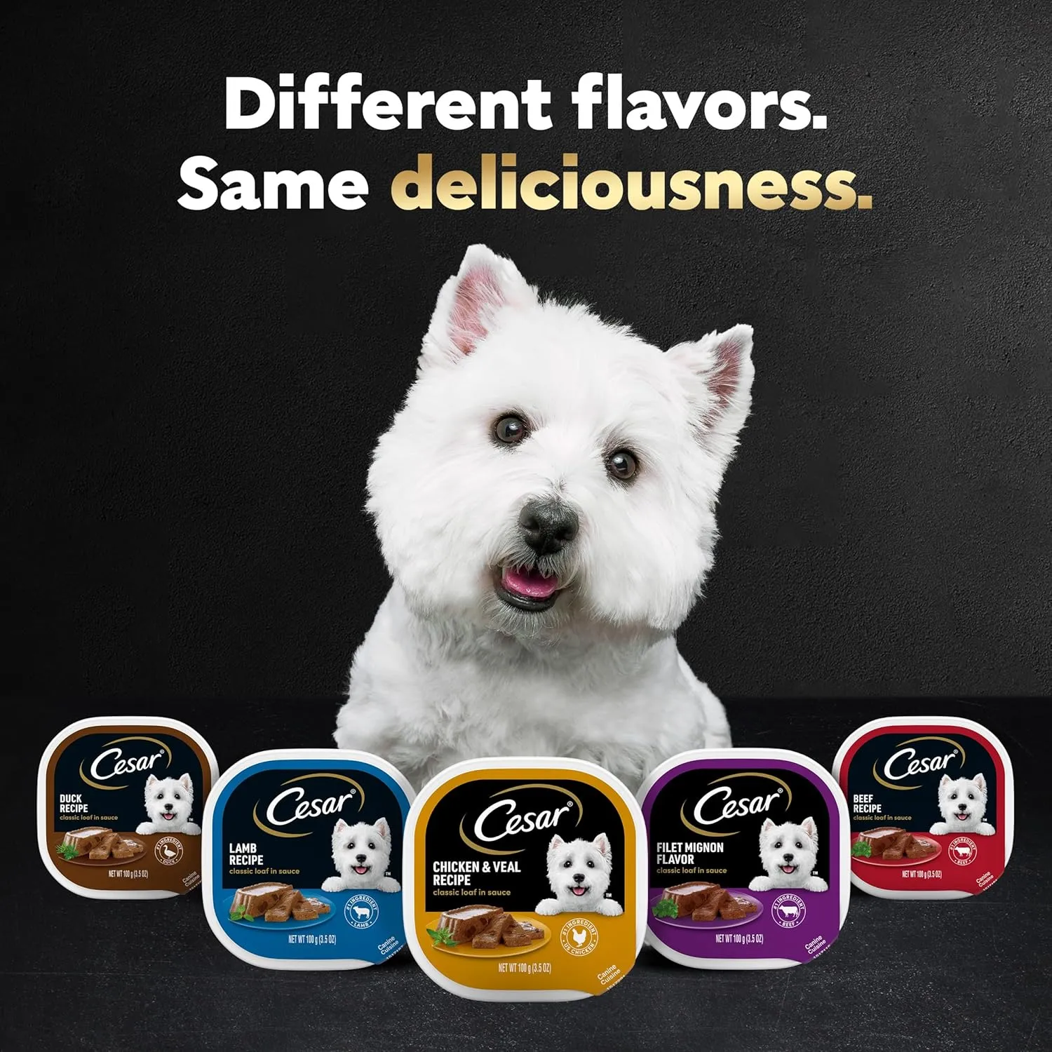 Cesar Wet Dog Food Steak Lovers Variety Pack with Real Meat, 3.5 oz. Trays (24 Count, Pack of 1)