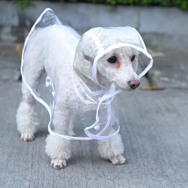 DC Doggie Raincoat