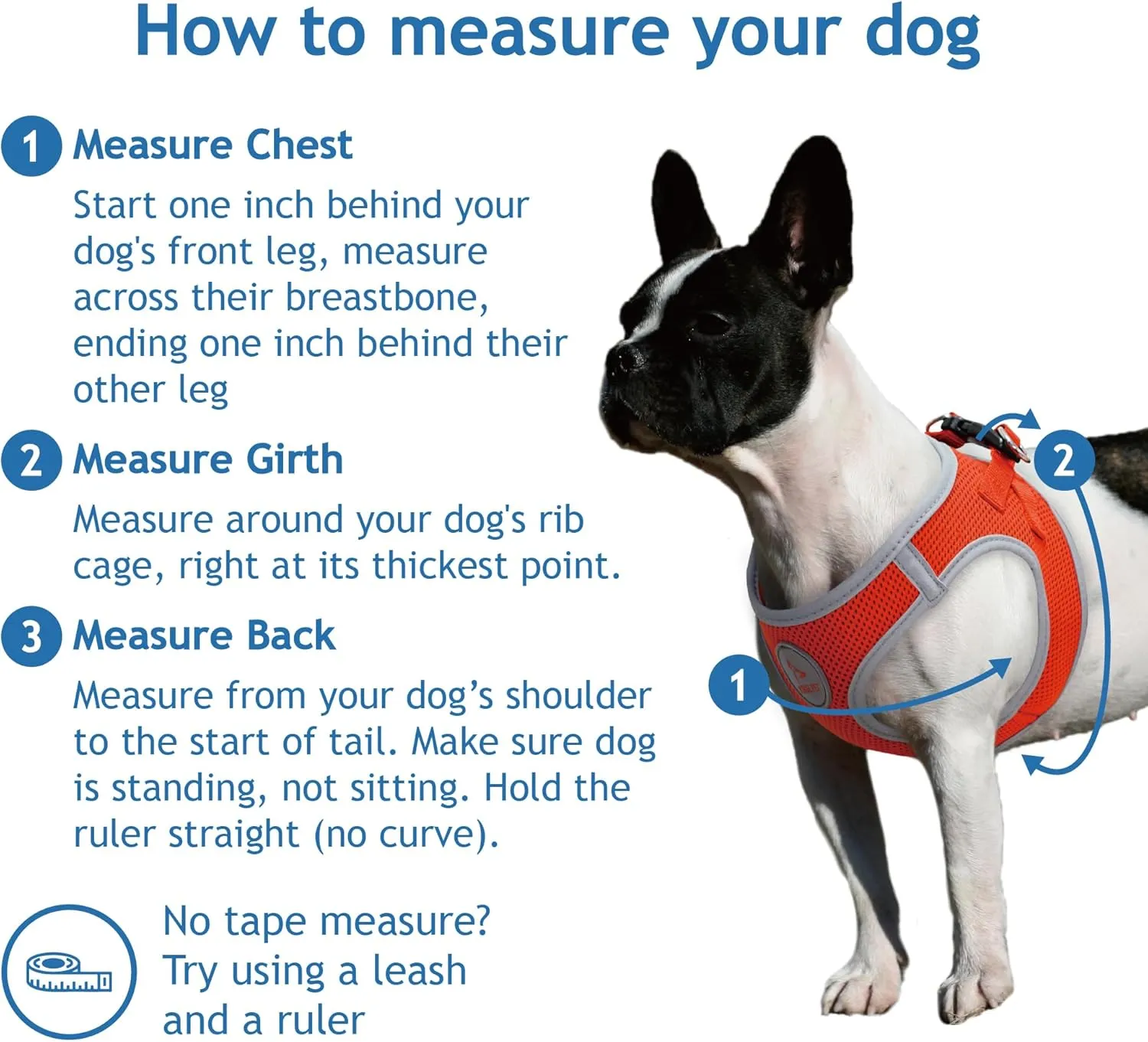 DOCO Dog Harness (Chest 18.5"-19.5", Weight 1520 lbs) Athletica Adjustable Heavy Duty No Choke Puppy Vest for Large Dogs Lightweight Air Mesh, Reflective, Puppy Essentials  Turquoise, Large