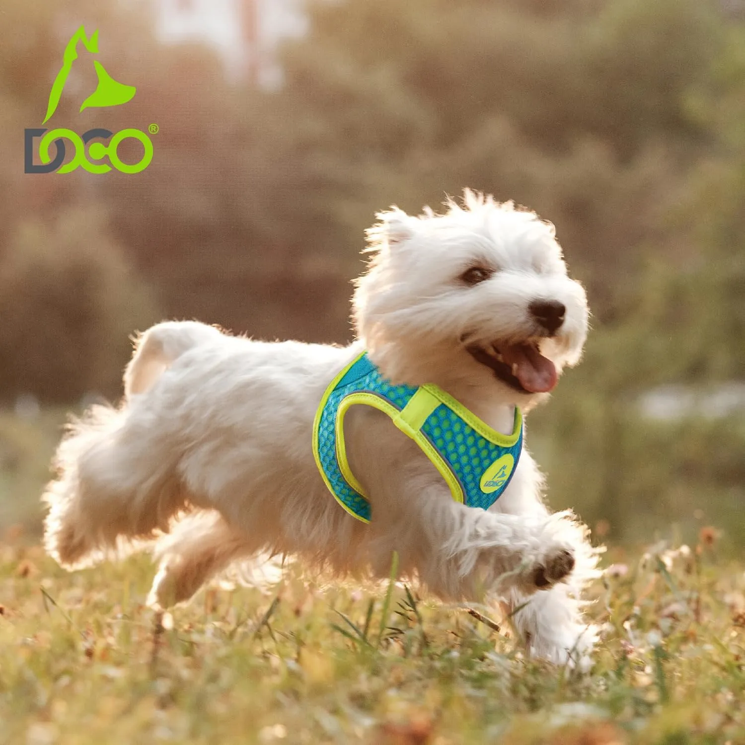 DOCO Dog Harness (Chest 18.5"-19.5", Weight 1520 lbs) Athletica Adjustable Heavy Duty No Choke Puppy Vest for Large Dogs Lightweight Air Mesh, Reflective, Puppy Essentials  Turquoise, Large
