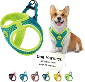 DOCO Dog Harness (Chest 18.5"-19.5", Weight 1520 lbs) Athletica Adjustable Heavy Duty No Choke Puppy Vest for Large Dogs Lightweight Air Mesh, Reflective, Puppy Essentials  Turquoise, Large