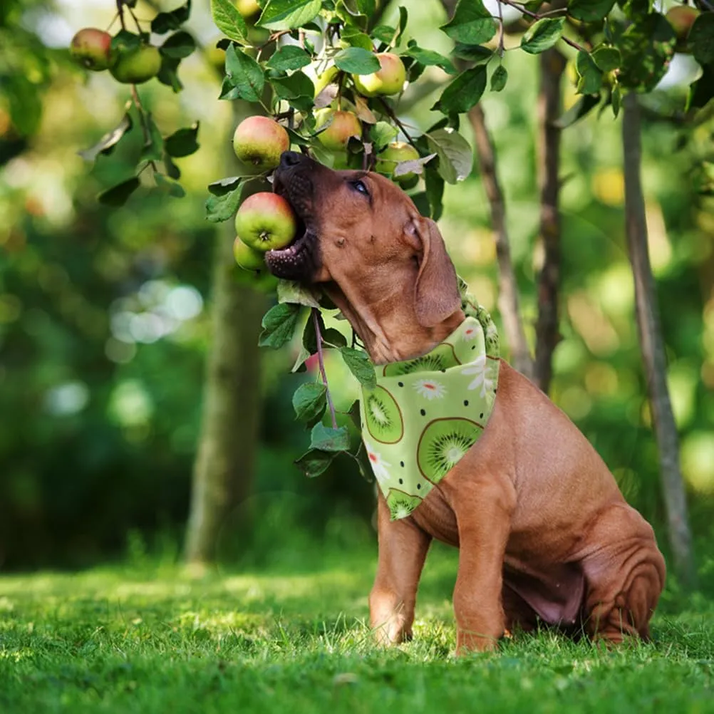 Dog Bandanas 3 Pack - Cute Fruit Dog Scarf Bibs Outfit, Costume for Dogs Boy Girl, Holiday Neckerchief Accessories for Small Medium Large Pet Cats, Summer, 24.4" x 18" x 18"
