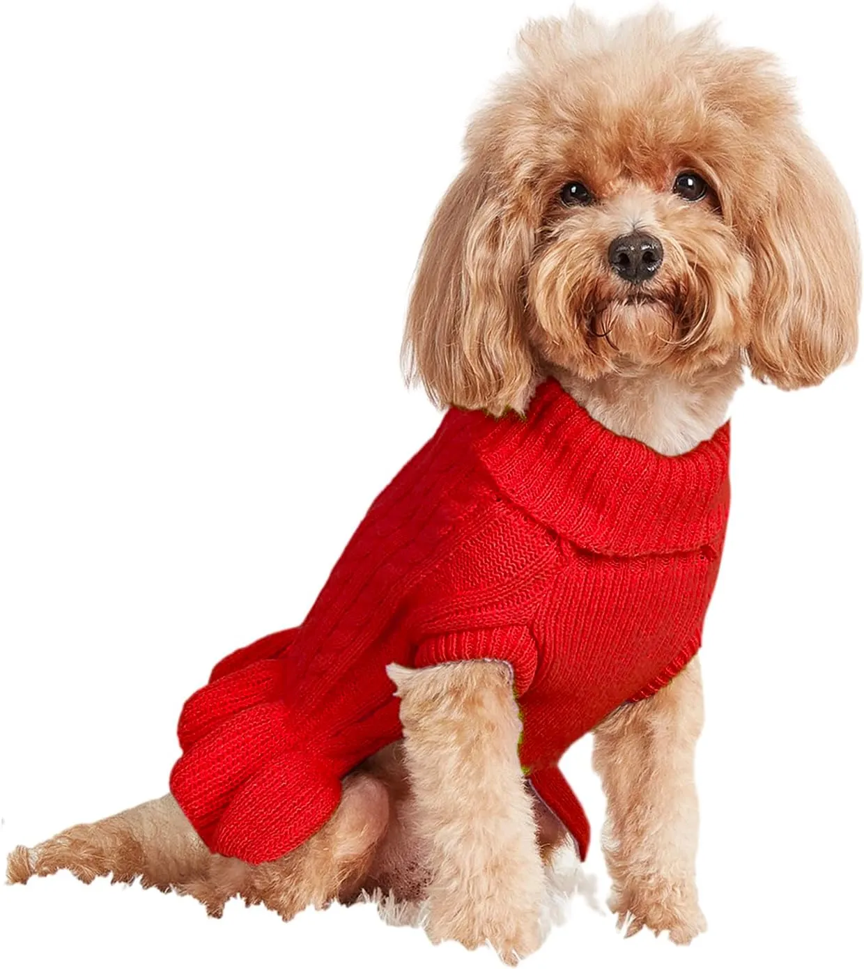 Dog Sweater, Cat Sweater - Cute Knitted Classic Cable Knitwear, Warm Pet Clothes Coat for Girls Dog Puppy Cat (Red, XX-Small)