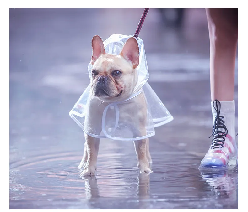 French Bulldog  Raincoat (CS3)