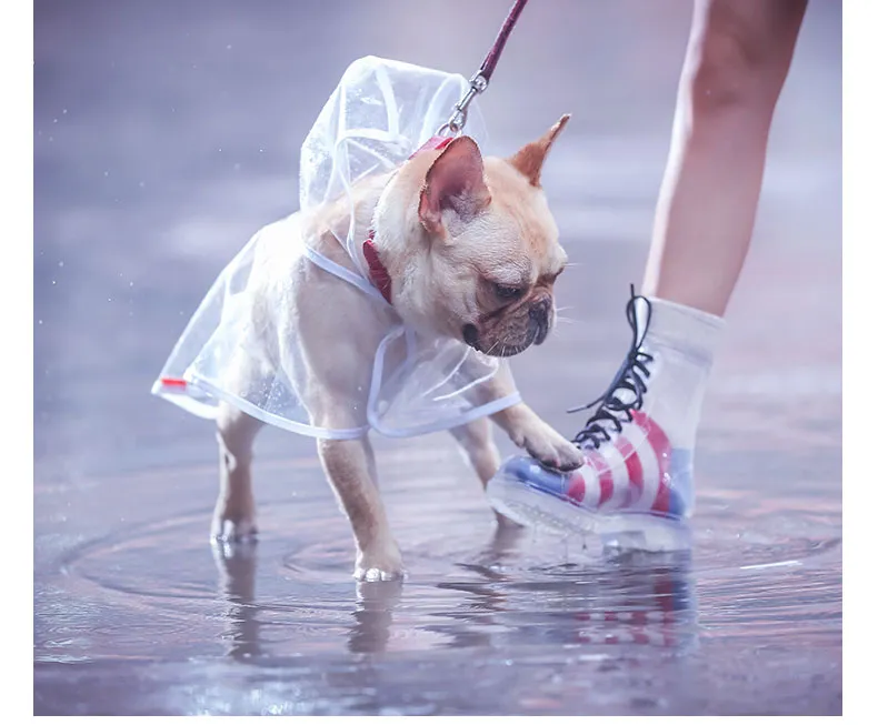 French Bulldog  Raincoat (CS3)