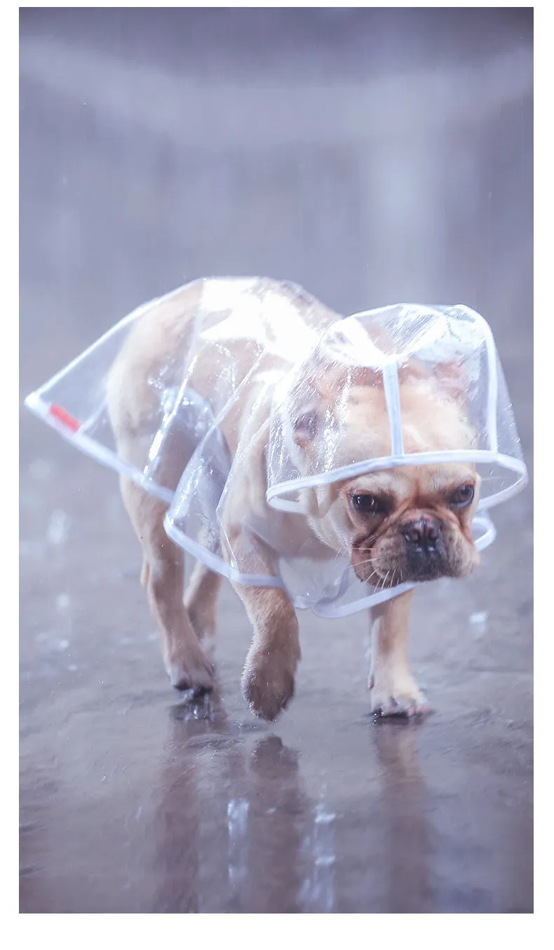 French Bulldog  Raincoat (CS3)