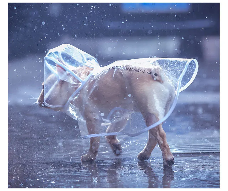 French Bulldog  Raincoat (CS3)
