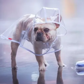 French Bulldog  Raincoat (CS3)