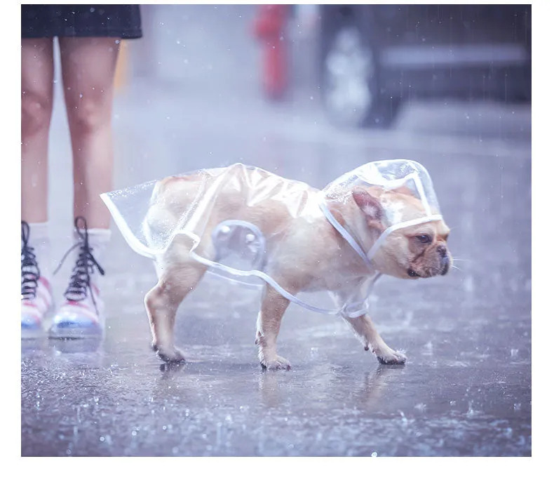 French Bulldog  Raincoat (CS3)