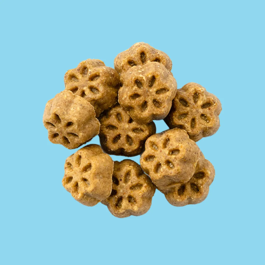 Fruitables Skinny Minis Grilled Bison 5oz