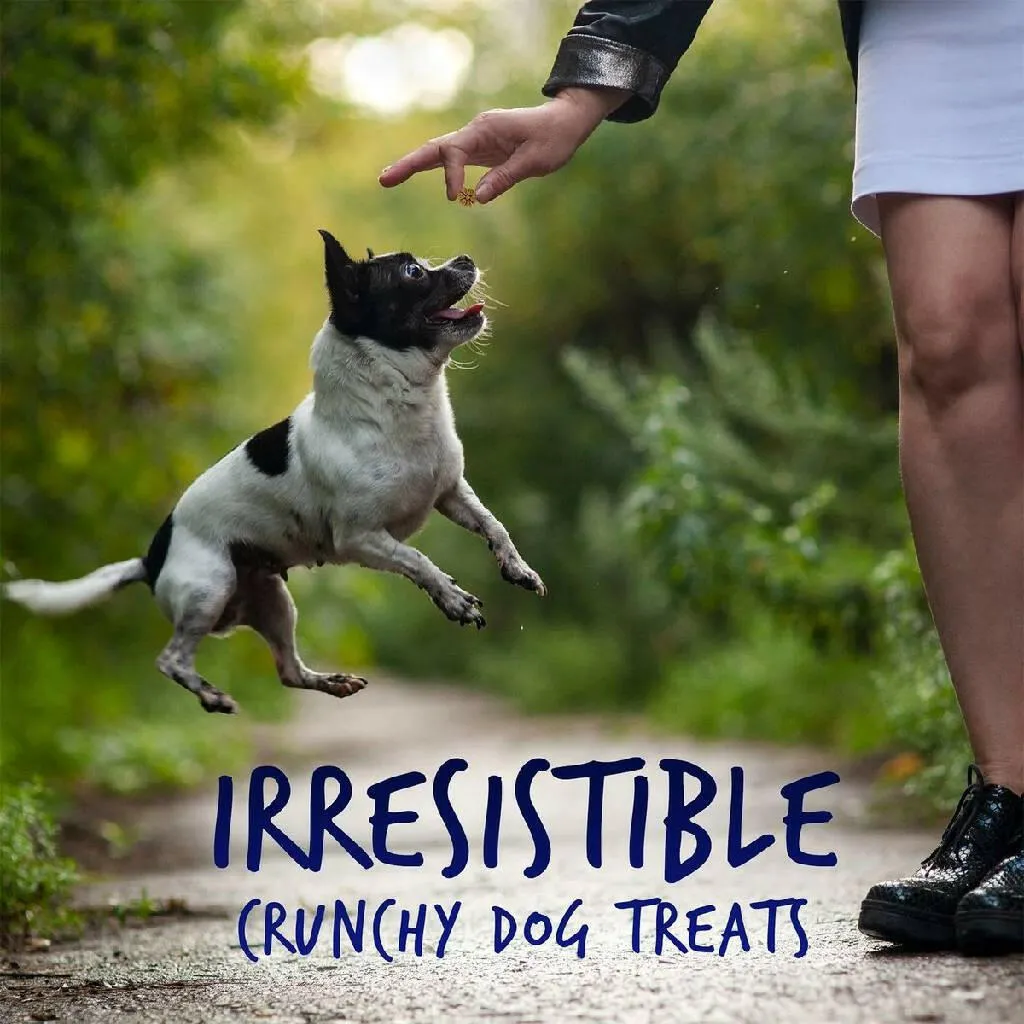 Fruitables Skinny Minis Pumpkin & Berry Flavor Dog Treats