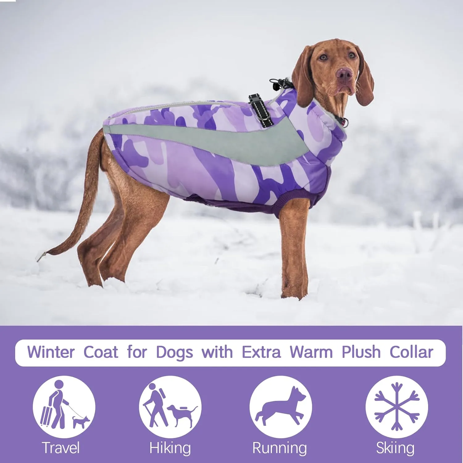 FUAMEY Warm Dog Jacket, Winter Coat with Harness, Waterproof Windproof Snow Jacket, Purple, S-M-L