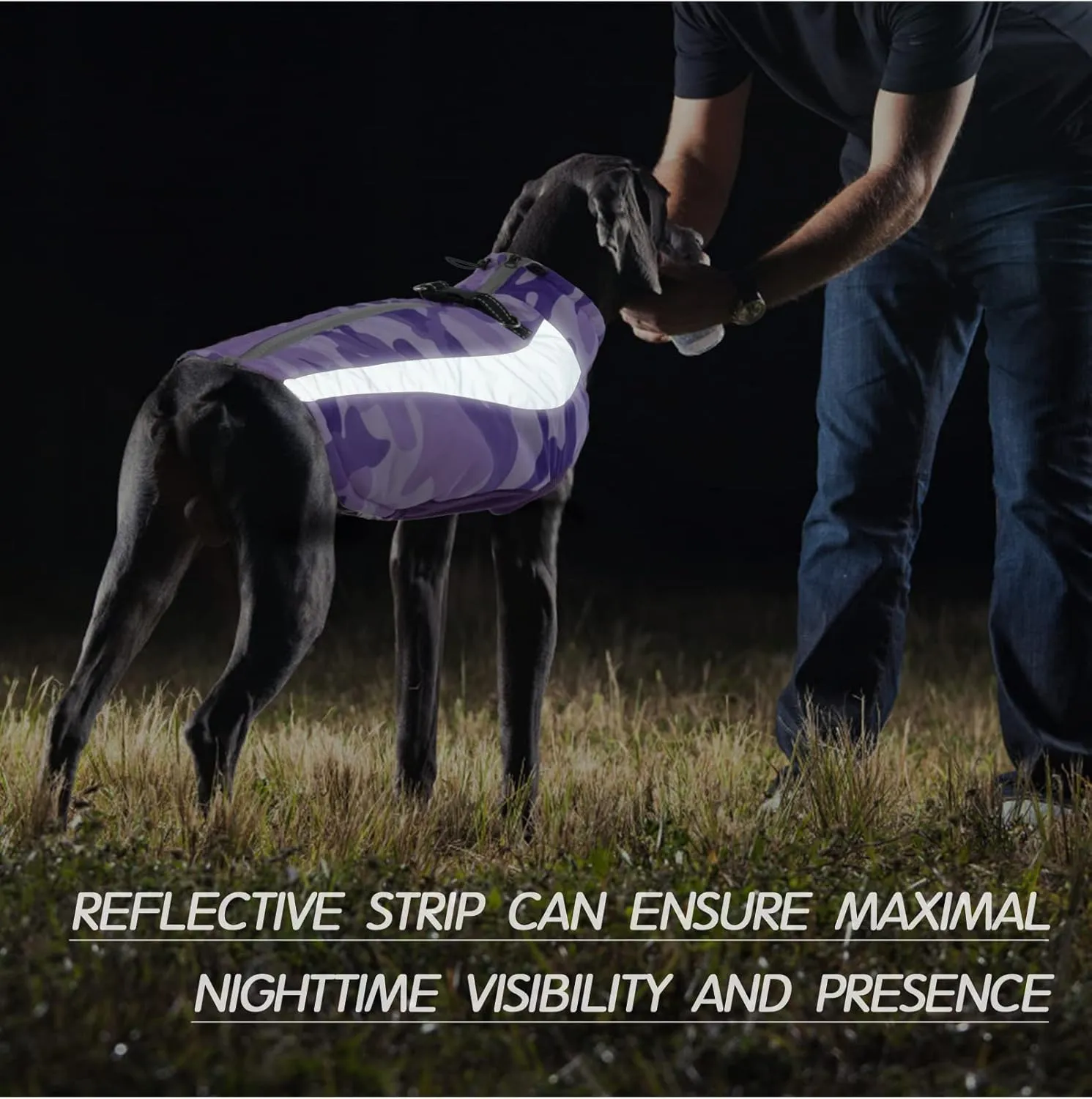 FUAMEY Warm Dog Jacket, Winter Coat with Harness, Waterproof Windproof Snow Jacket, Purple, S-M-L
