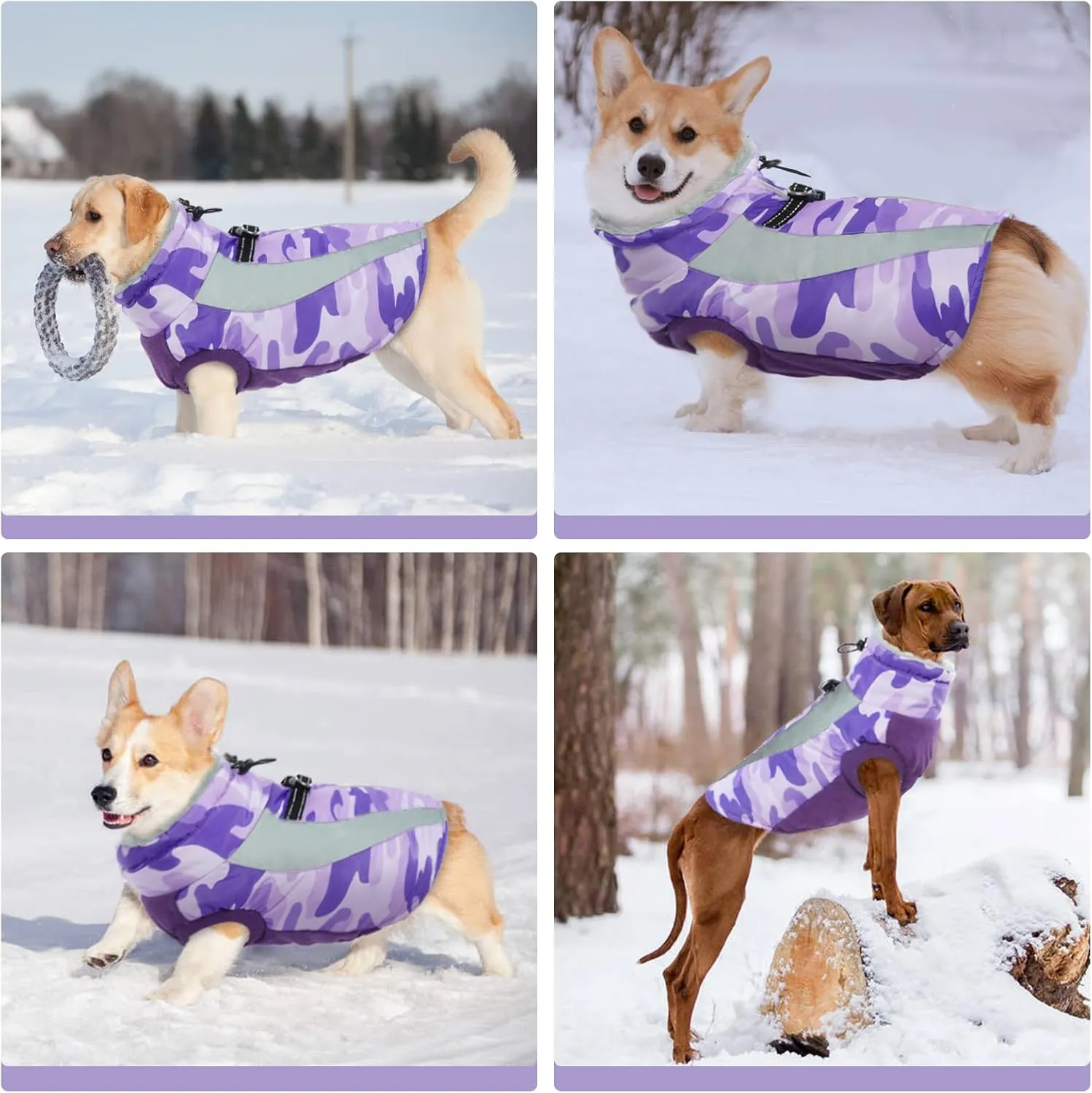 FUAMEY Warm Dog Jacket, Winter Coat with Harness, Waterproof Windproof Snow Jacket, Purple, S-M-L