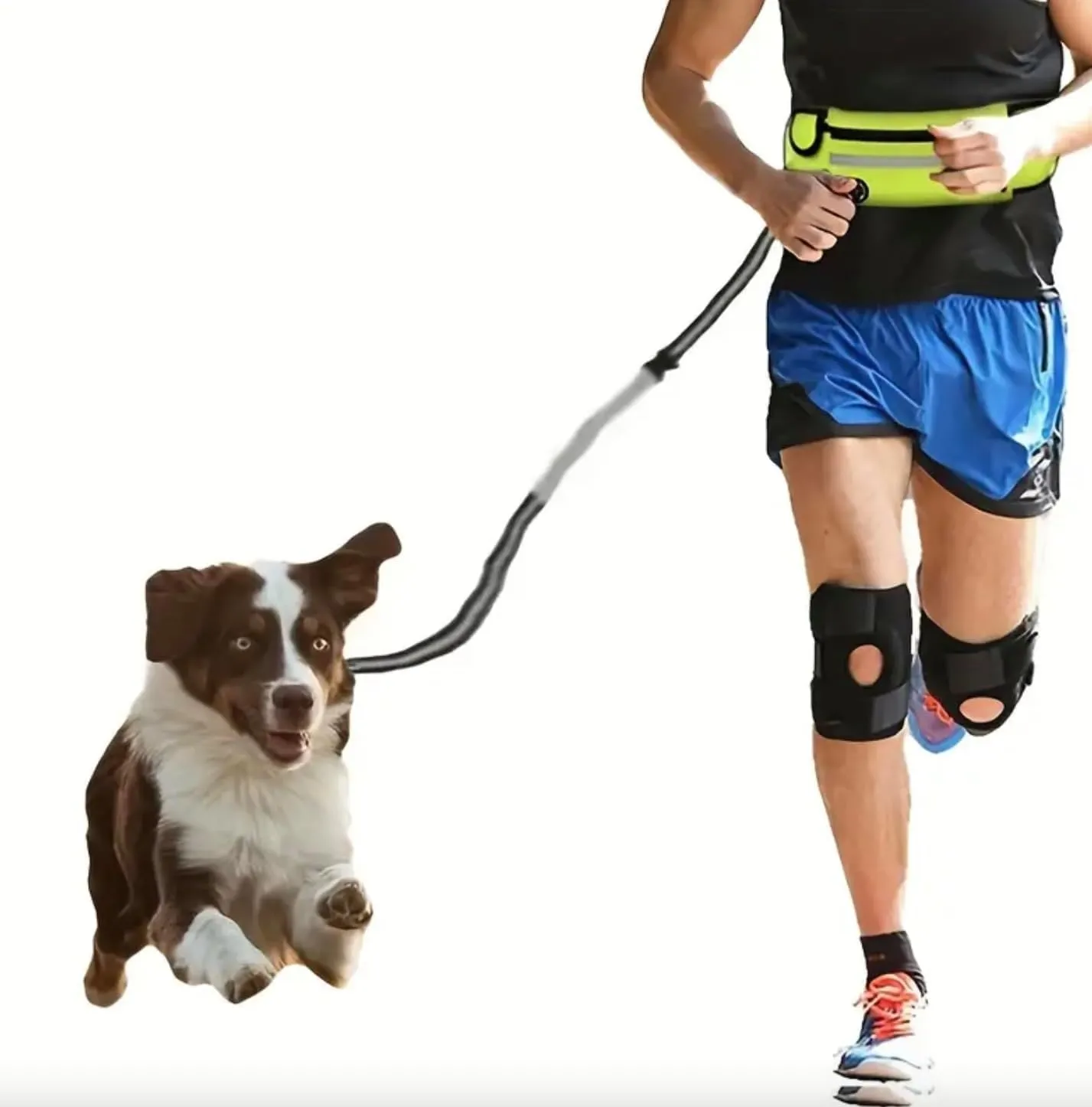 Hands-Free Dog Leash with Adjustable Waist Belt and Zipper Pouch - Reflective, Bungee for Running, Walking, Hiking - by 21 Home