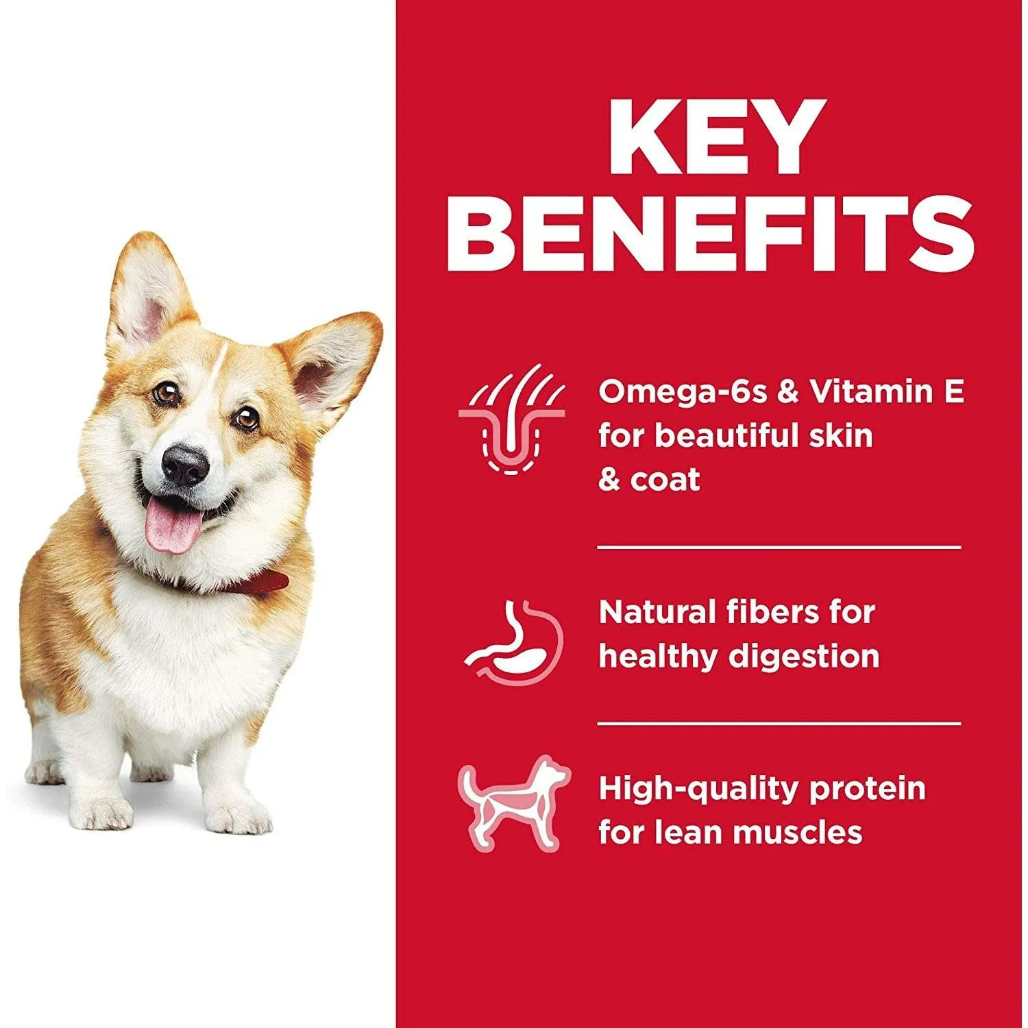Hill's Science Diet Dry Dog Food Adult Small Bites Chicken & Barley Recipe