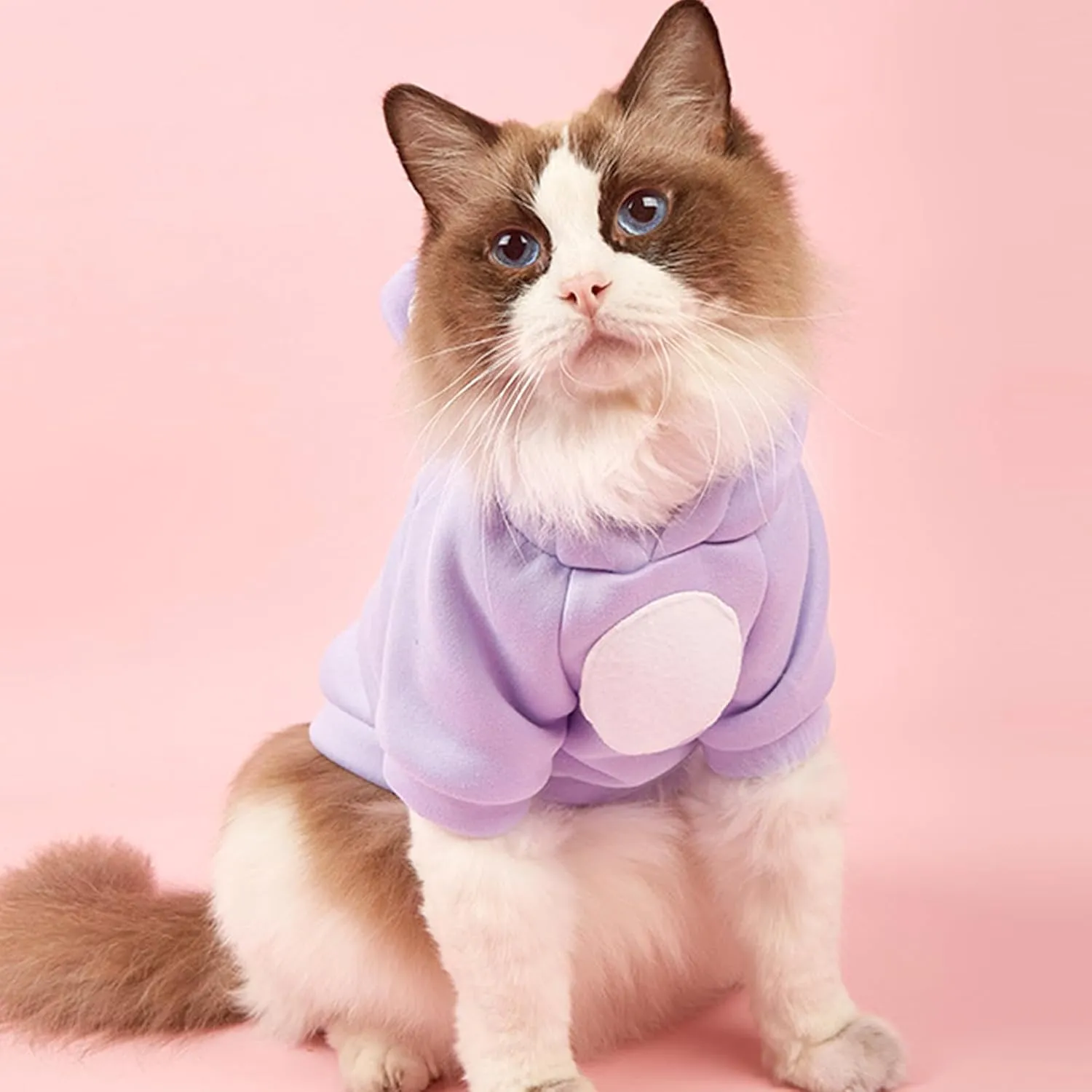 Jecikelon Dog Cold Weather Coat Winter Clothing Warm Puppy Hoodies Sweatshirt for Small Dogs Cats Soft Hooded Pet Clothes Suter para Perros (X-Small, Pink)
