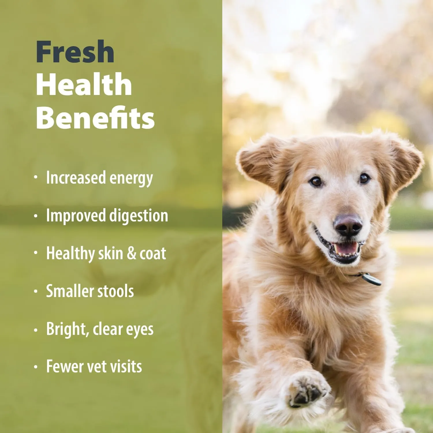 JustFoodForDogs Frozen Fresh Dog Food, Complete Meal or Topper, Beef & Russet Potato Human Grade Recipe, 18 oz (Pack of 7)