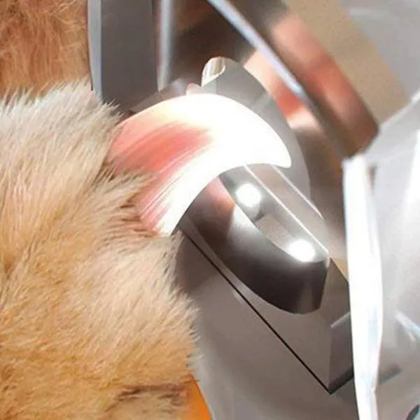 LED Light Pet Nail Clipper