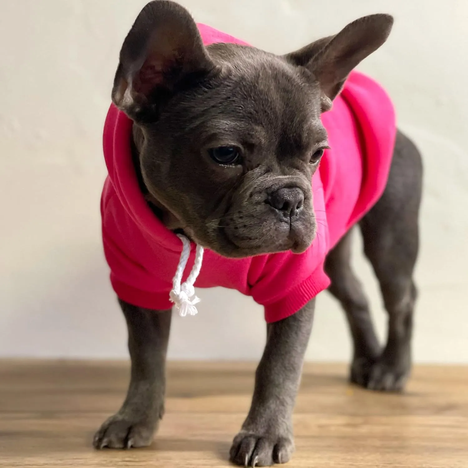 Mama's Boy Mother's Day, Valentine's Day Dog Hoodie Fleece Lined Pullover Sweatshirt with Leash Hole (Grey, X-Small 944)