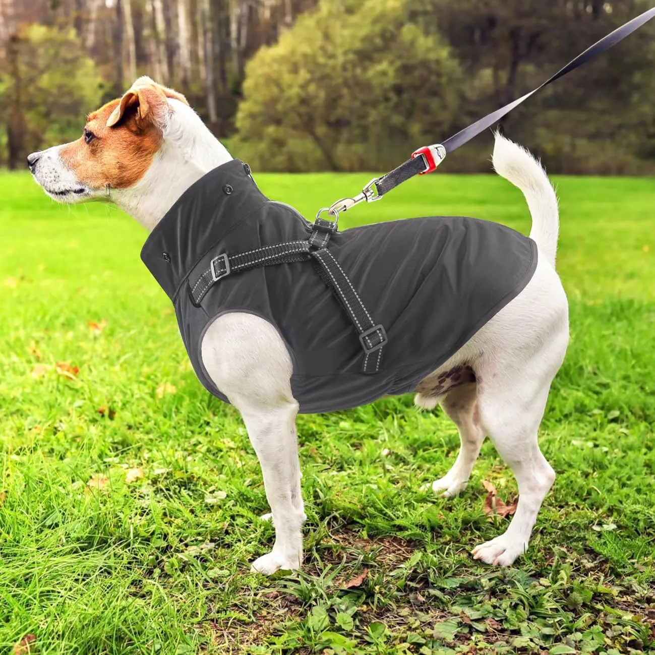 Mosucoirl Dog Raincoat Waterproof Dog Hoodie Reflective Dog Raincoat Hooded Adjustable Rain Jacket for Small Medium Large Dogs Puppies (Black, L)