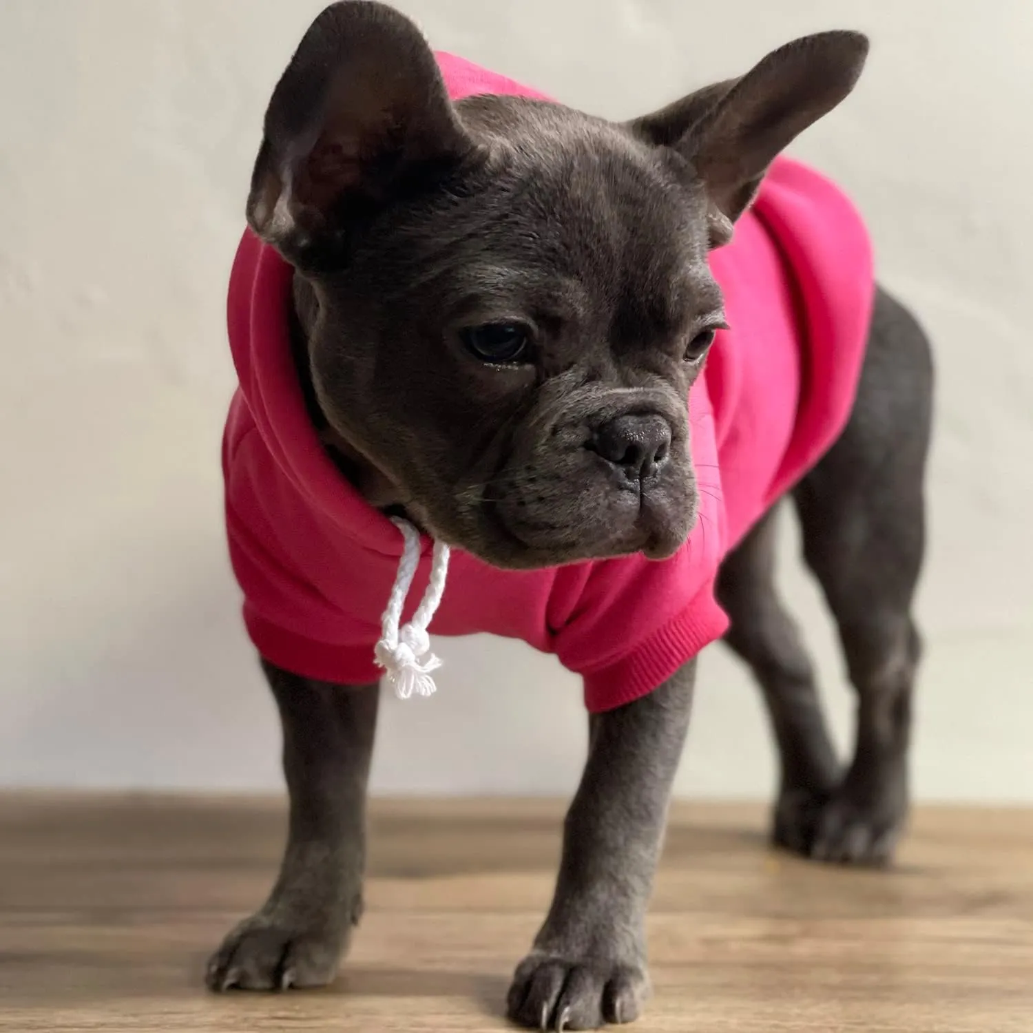 My Humans are Getting Married Annoucement Pullover Fleece Lined Dog Hoodie (Hot Pink, Small 224)