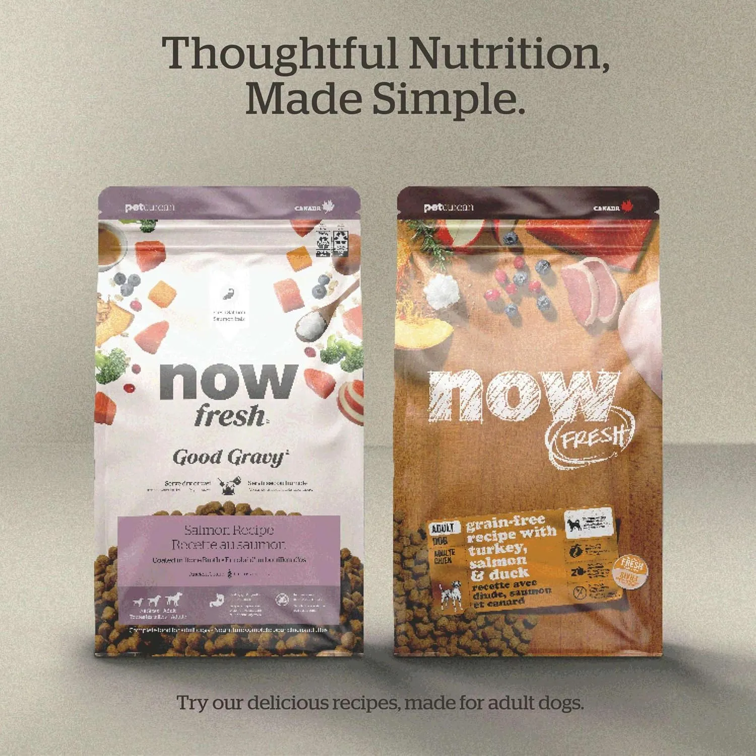 Now Fresh Good Gravy, Bone Broth Coated Kibble, Dry Dog Food, Chicken Adult Recipe with Grains, All Breed Size, 22 lb Bag