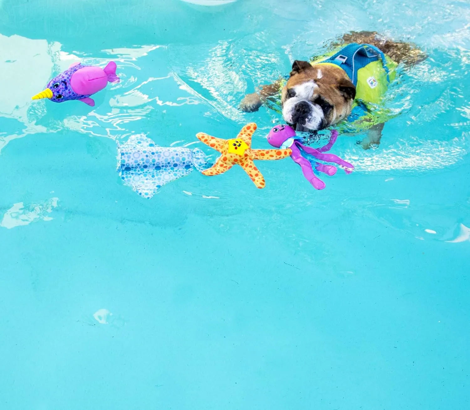 Outward Hound Floatiez Narwhal Floating Interactive Dog Toy, Large