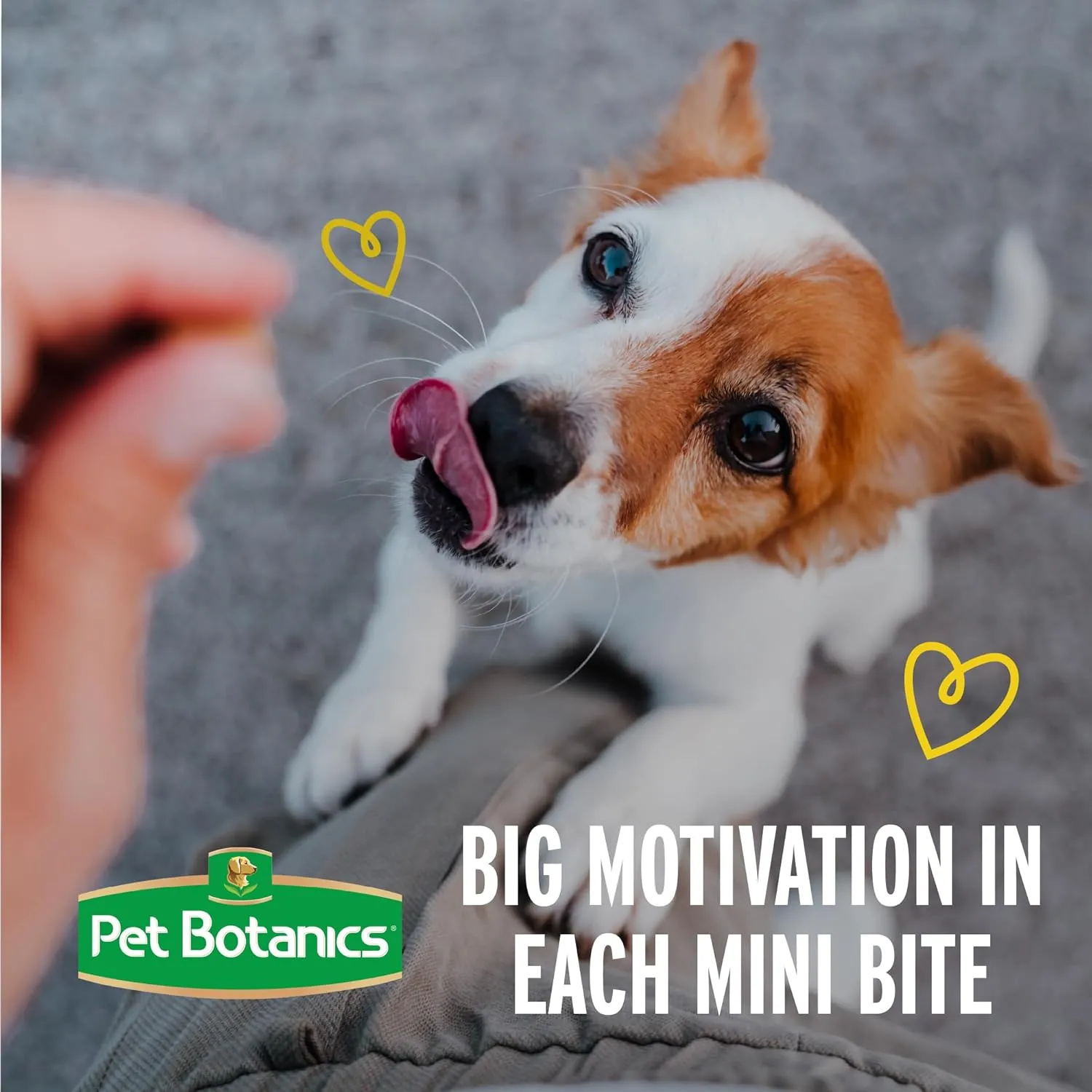 Pet Botanics Training Rewards Soft & Chewy Peanut Butter Puppy Bites (4 oz)