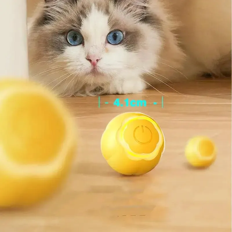 Pet Smart Rolling Ball Cat Toy  Boredom Relief