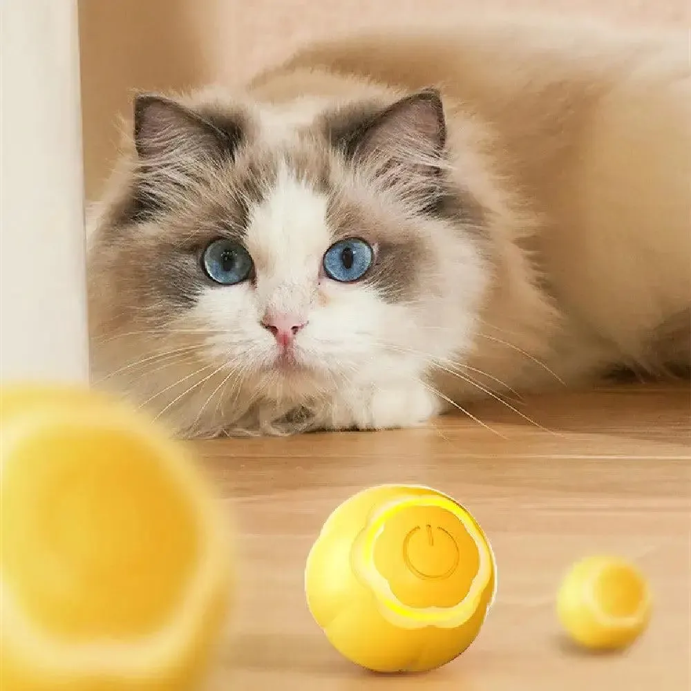 Pet Smart Rolling Ball Cat Toy  Boredom Relief
