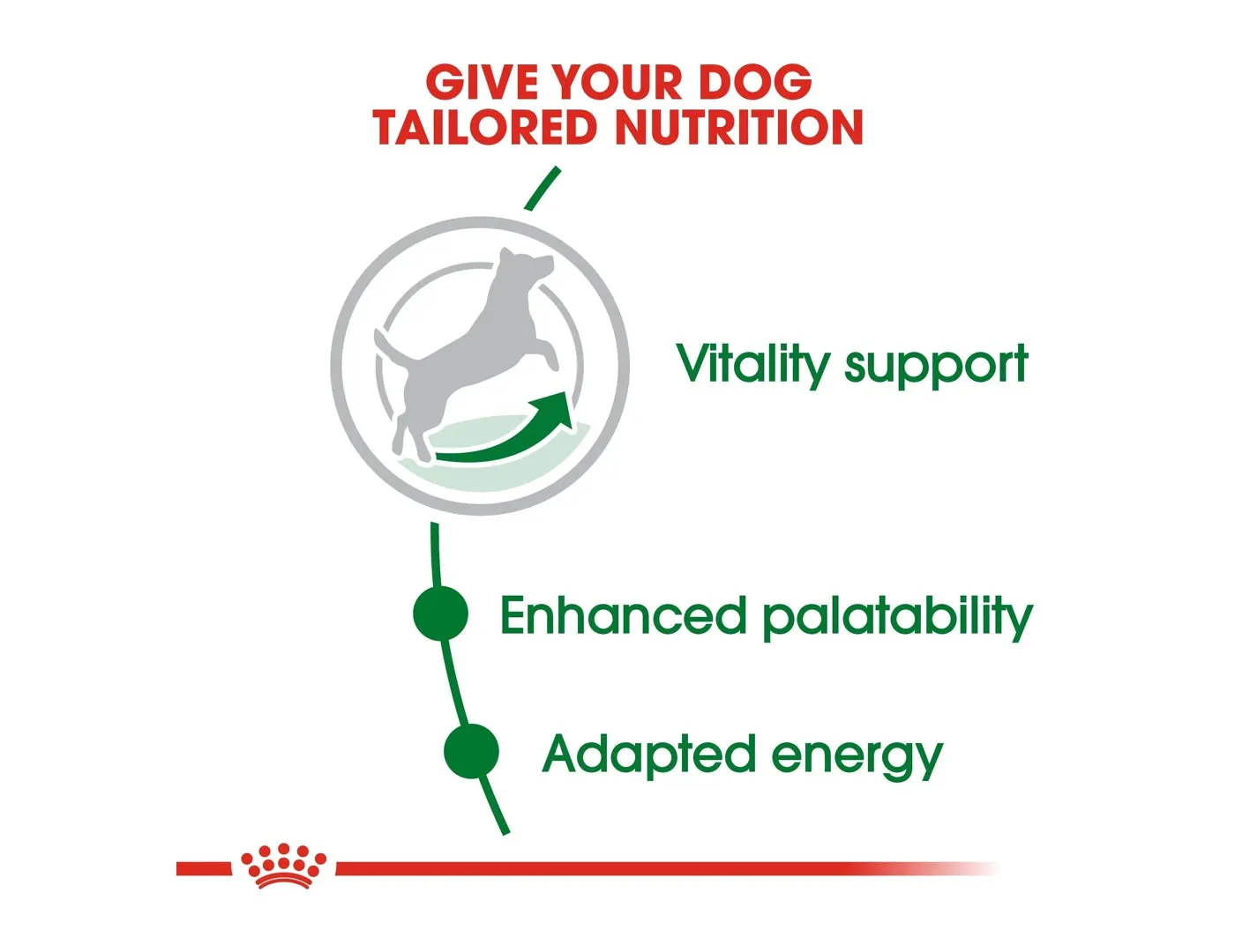 Royal Canin - Mini Adult 8  - 2kg
