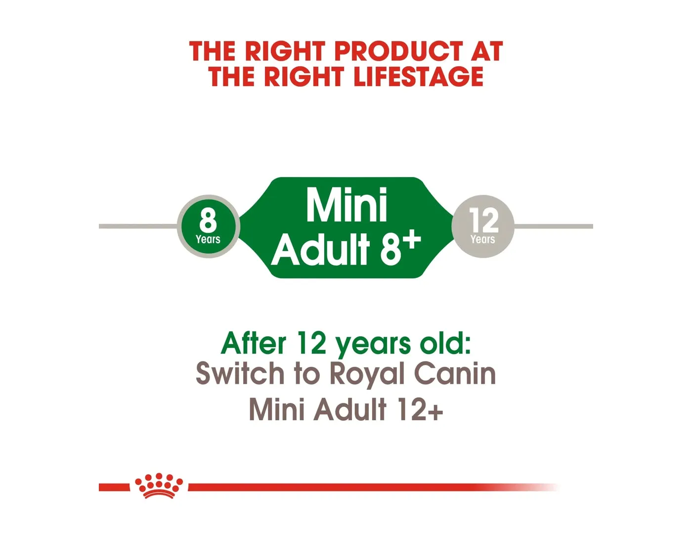 Royal Canin - Mini Adult 8  - 2kg