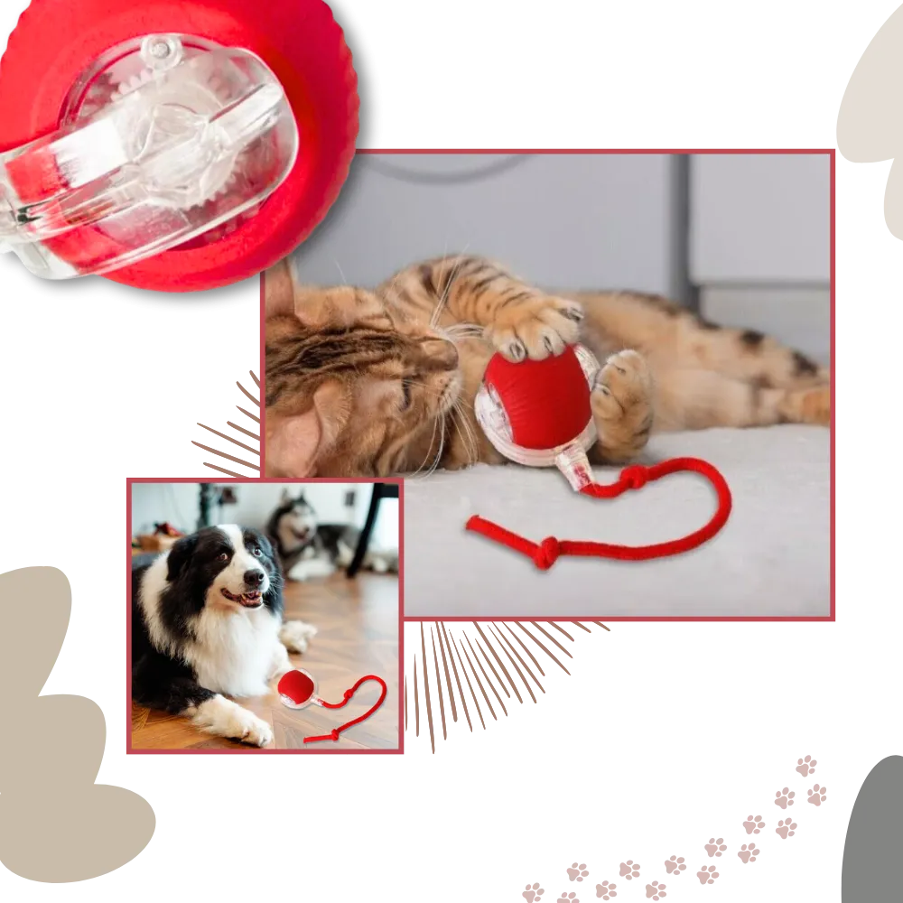 Smart Interactive Cats Ball Toy