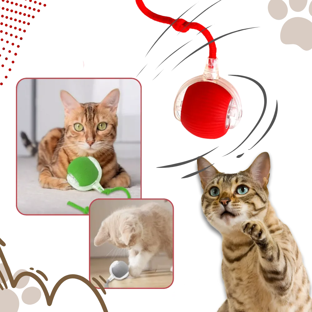 Smart Interactive Cats Ball Toy