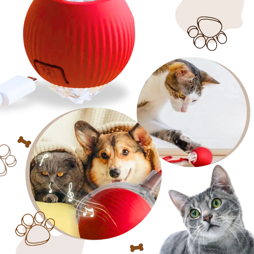 Smart Interactive Cats Ball Toy